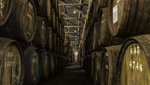 Explora-el-Encanto-de-las-Bodegas-de-Oporto TotalVinum